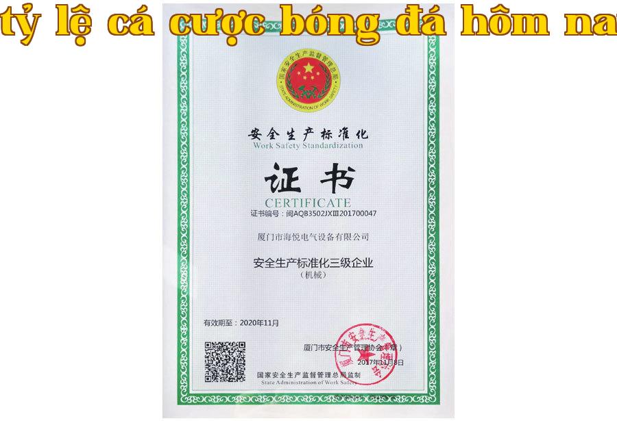 Doanh nghiệp đạt chuẩn an toàn sản xuất cấp ba Doanh nghiệp đạt chuẩn an toàn sản xuất cấp ba