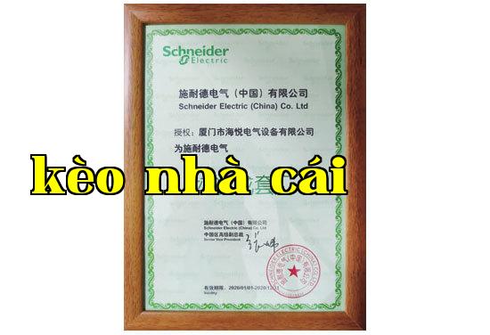 Đối tác thỏa thuận của Schneider Đối tác thỏa thuận của Schneider